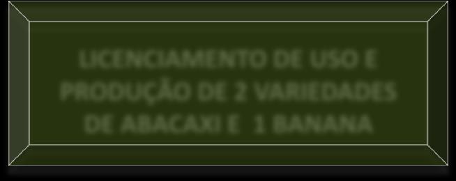 PROPRIEDADE INTELECTUAL FORAM CONCEDIDAS EM 2009 PROPRIEDADE INTELECTUAL : REGISTRO DO NOME INPI: