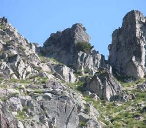 Serra da Estrela e da Cova da Beira Recenseados 44 indivíduos na