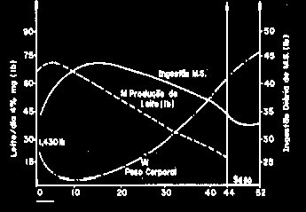 Maior ingestão de energia resulta em produção mais elevada de leite, sem benéfico sobre o ganho de peso (Patton et al. 2006).