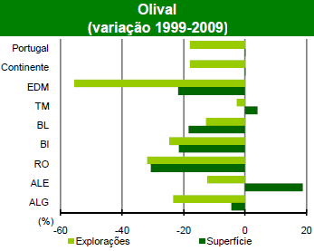 A dinâmica dos novos olivais 1998 - aprovada a plantação de 30.