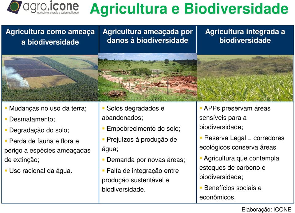 Solos degradados e abandonados; Empobrecimento do solo; Prejuízos à produção de água; Demanda por novas áreas; Falta de integração entre produção sustentável e biodiversidade.