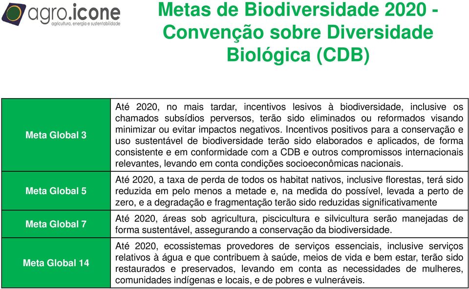 Incentivos positivos para a conservação e uso sustentável de biodiversidade terão sido elaborados e aplicados, de forma consistente e em conformidade com a CDB e outros compromissos internacionais