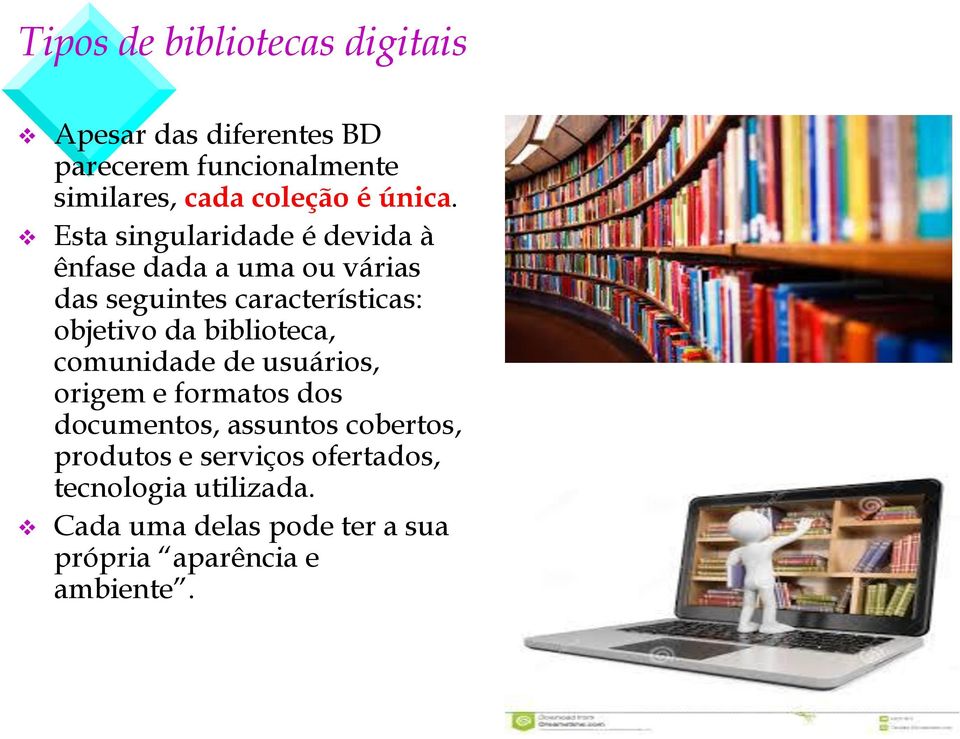 Esta singularidade é devida à ênfase dada a uma ou várias das seguintes características: objetivo da