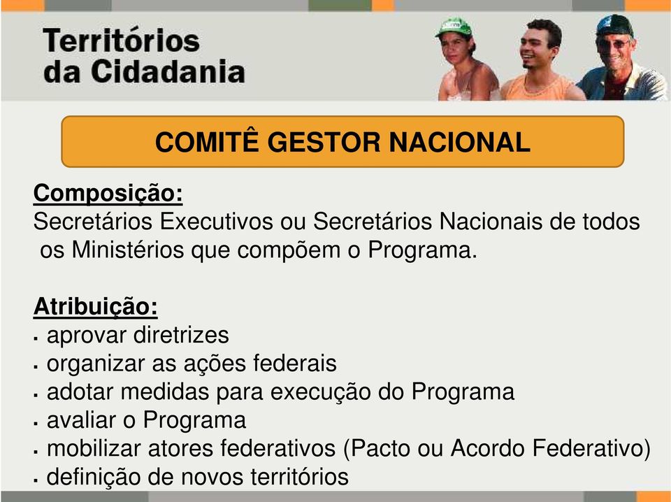 Atribuição: aprovar diretrizes COMITÊ GESTOR NACIONAL organizar as ações federais