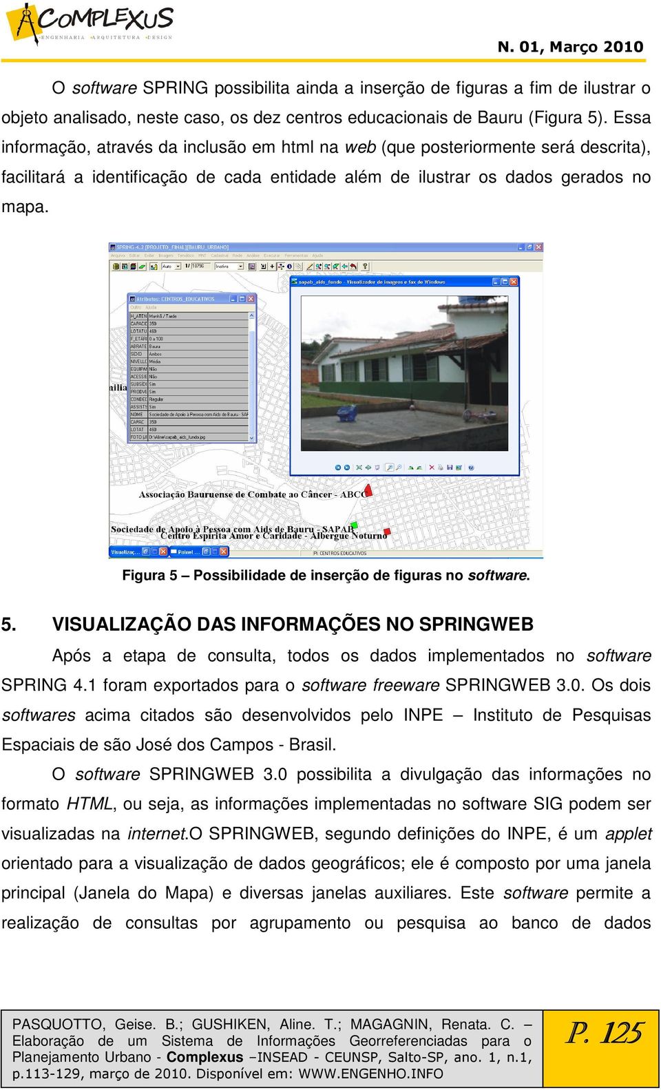 Figura 5 Possibilidade de inserção de figuras no software. 5. VISUALIZAÇÃO DAS INFORMAÇÕES NO SPRINGWEB Após a etapa de consulta, todos os dados implementados no software SPRING 4.