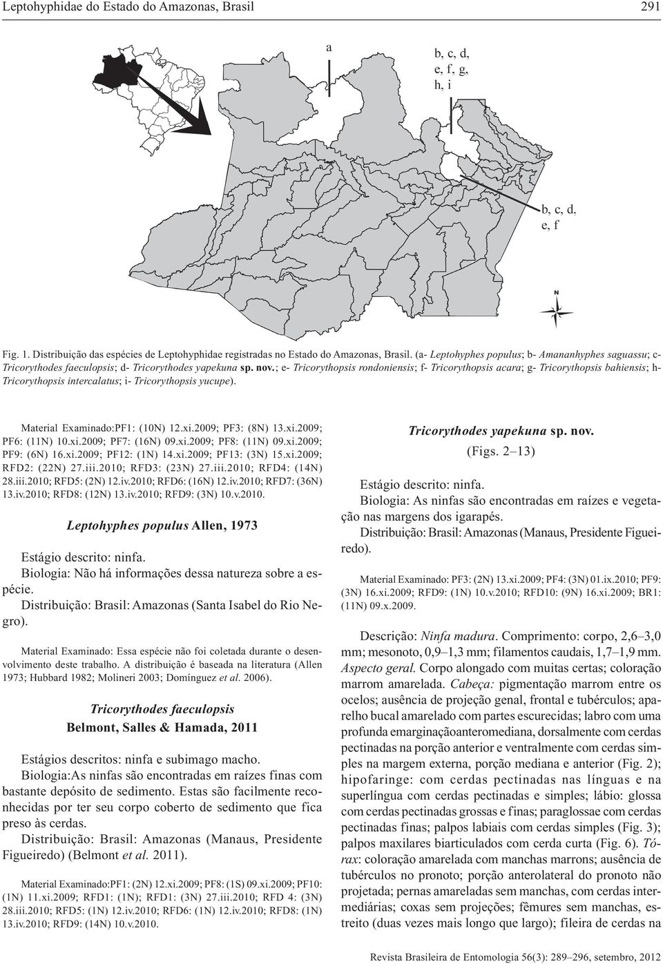 ; e- Tricorythopsis rondoniensis; f- Tricorythopsis acara; g- Tricorythopsis bahiensis; h- Tricorythopsis intercalatus; i- Tricorythopsis yucupe). Material Examinado:PF1: (10N) 12.xi.