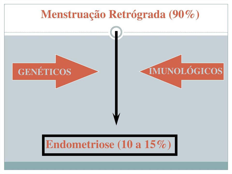 GENÉTICOS