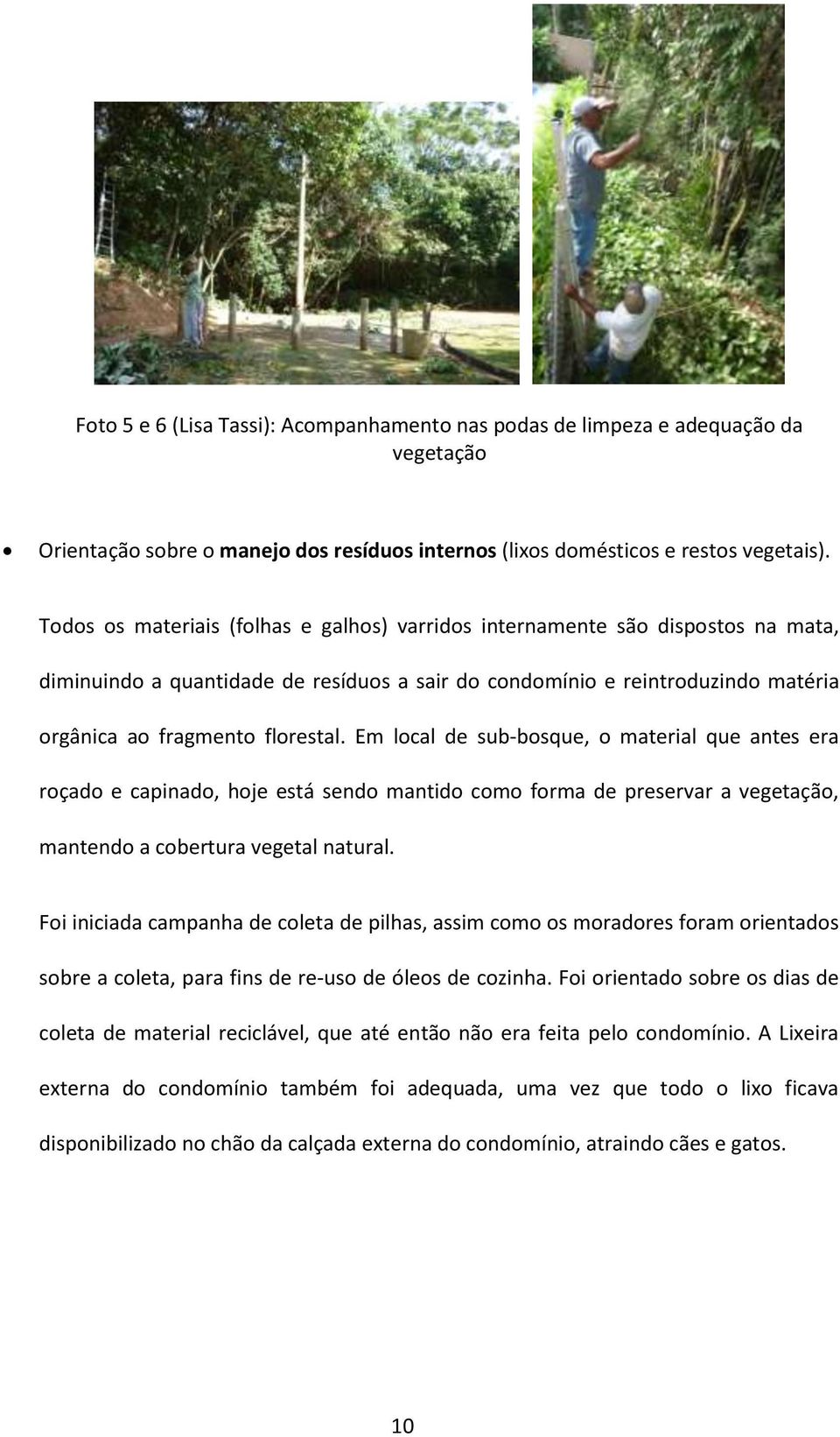 Em local de sub-bosque, o material que antes era roçado e capinado, hoje está sendo mantido como forma de preservar a vegetação, mantendo a cobertura vegetal natural.