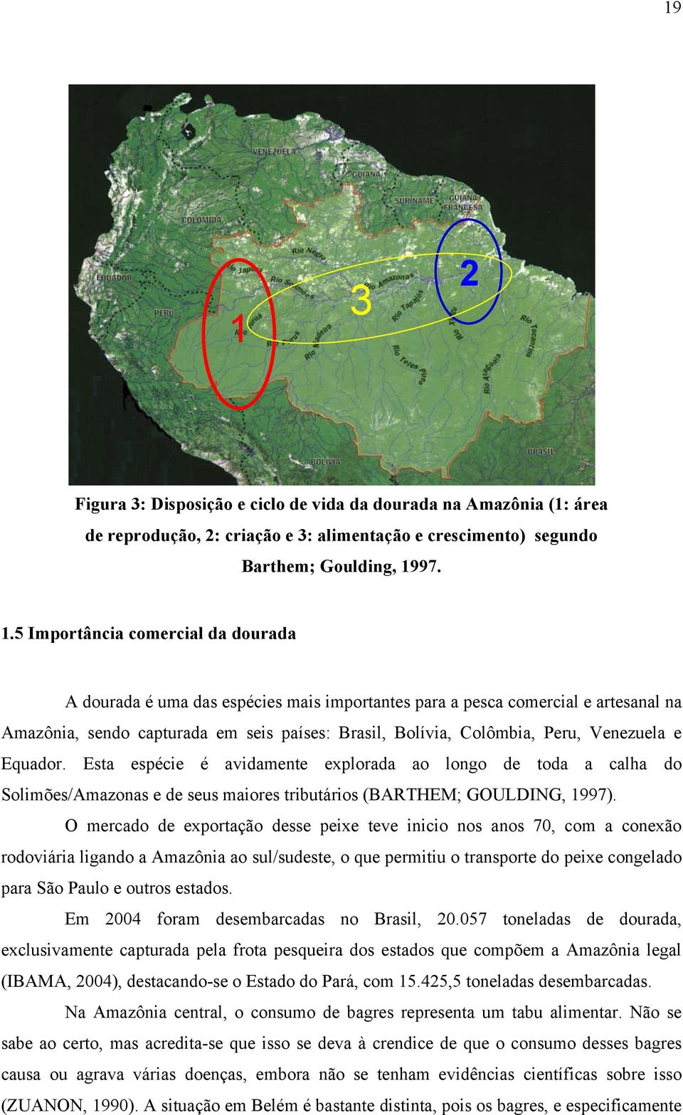 Esta espécie é avidamente explorada ao longo de toda a calha do Solimões/Amazonas e de seus maiores tributários (BARTHEM; GOULDING, 1997).