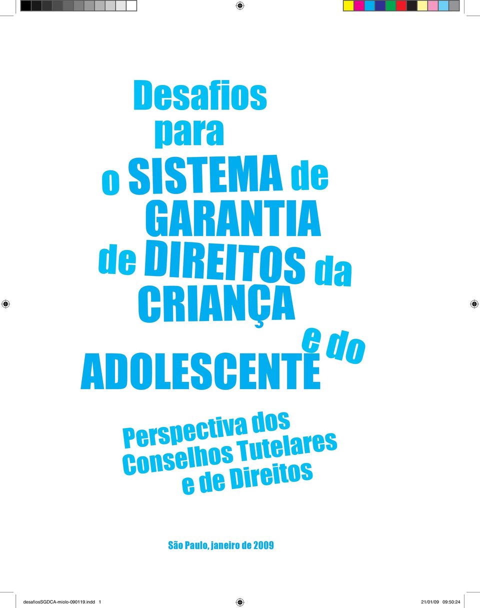 Tutelares e de Direitos São Paulo, janeiro de 2009