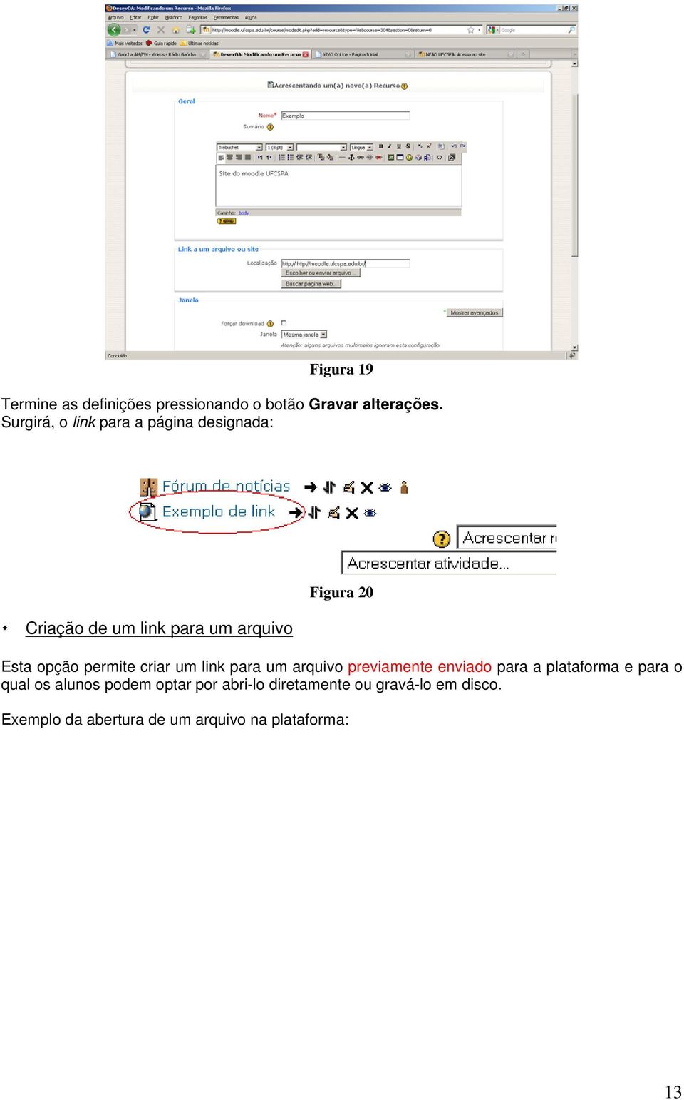 opção permite criar um link para um arquivo previamente enviado para a plataforma e para o