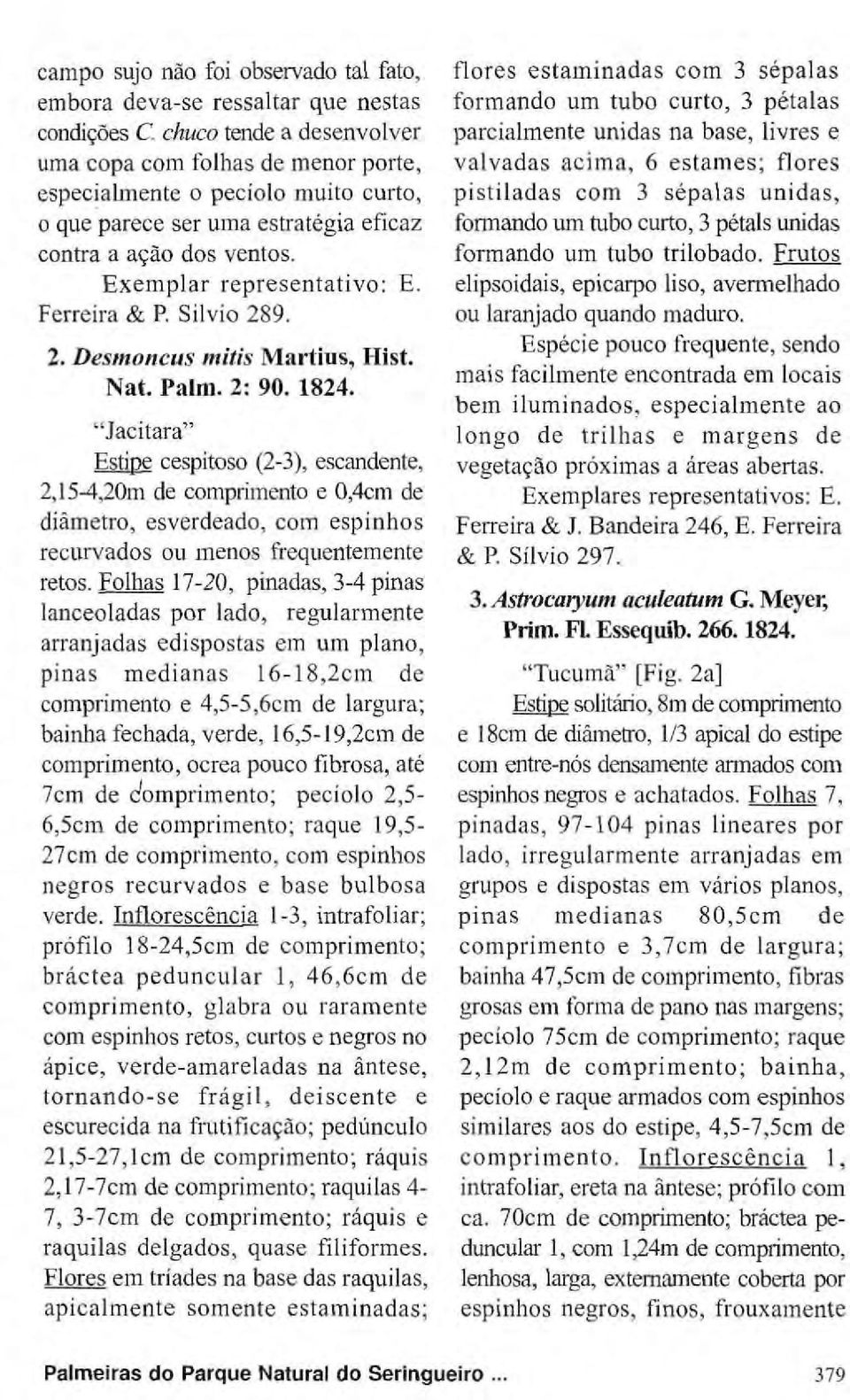 Ferreira & P. Silvio 289. 2. Desmoncus mitis Martius, Hist. Nat. Palm. 2: 90. 1824.