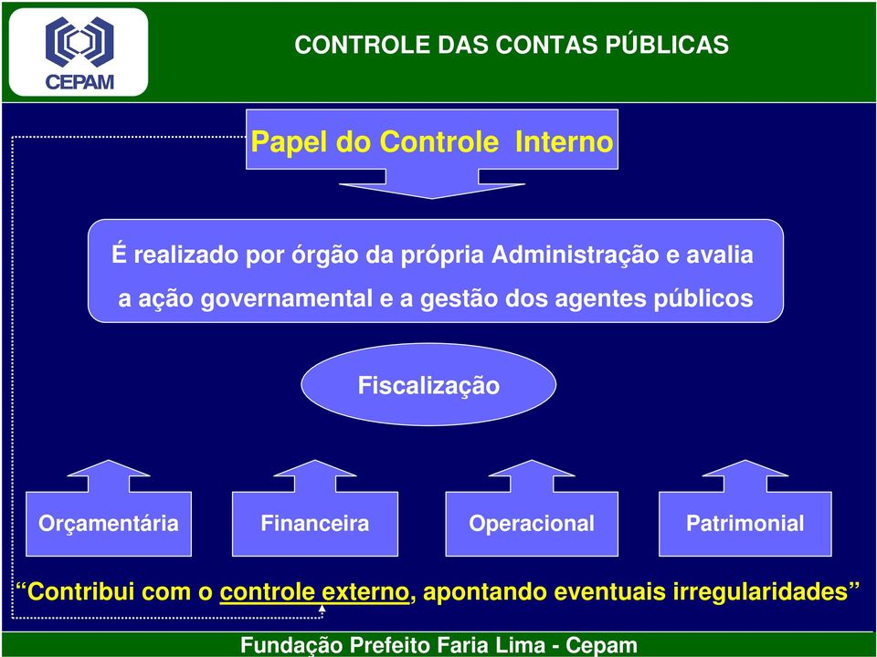 públicos Fiscalização Orçamentária Financeira Operacional