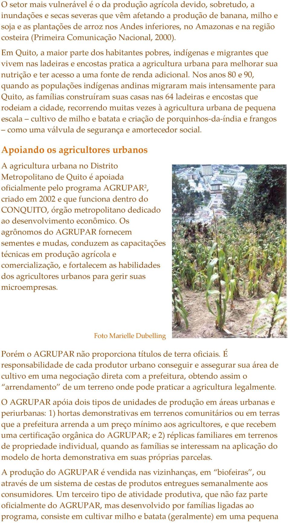 Em Quito, a maior parte dos habitantes pobres, indígenas e migrantes que vivem nas ladeiras e encostas pratica a agricultura urbana para melhorar sua nutrição e ter acesso a uma fonte de renda