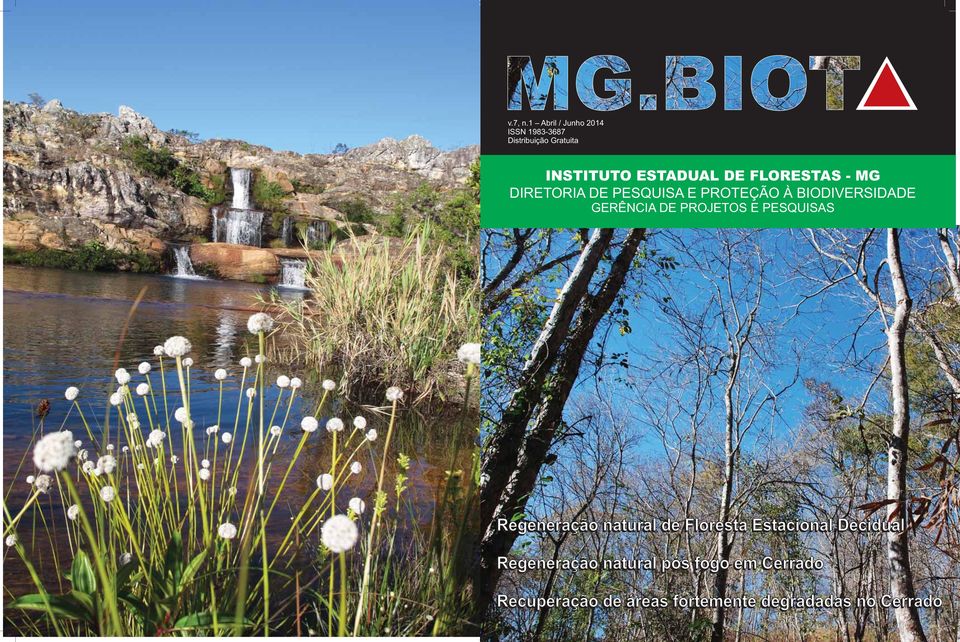 FLORESTAS - MG DIRETORIA DE PESQUISA E PROTEÇÃO À BIODIVERSIDADE GERÊNCIA DE