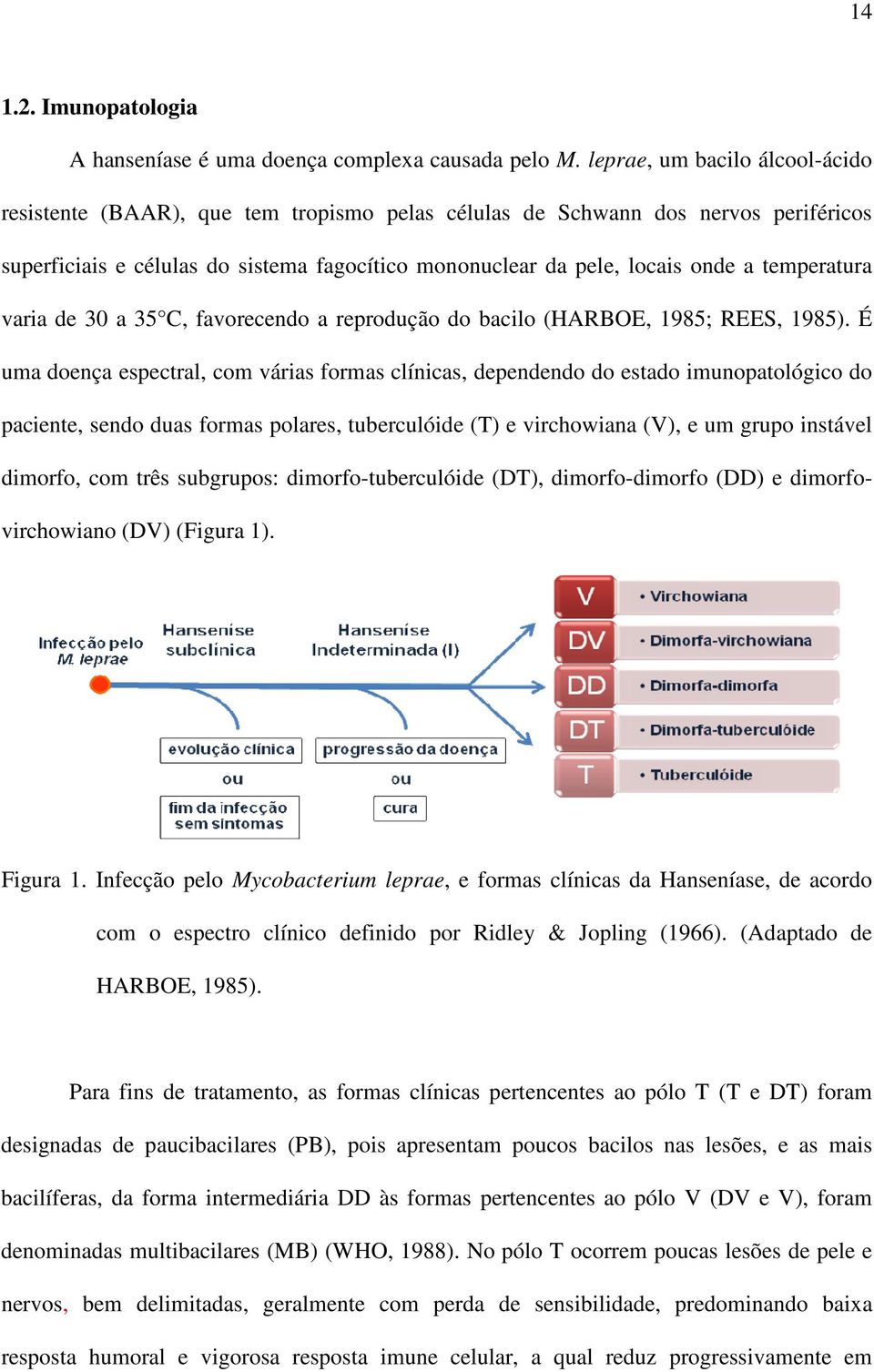 temperatura varia de 30 a 35 C, favorecendo a reprodução do bacilo (HARBOE, 1985; REES, 1985).