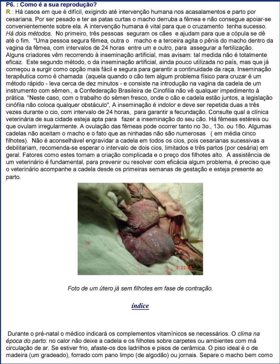 No primeiro, três pessoas seguram os cães e ajudam para que a cópula se dê até o fim.