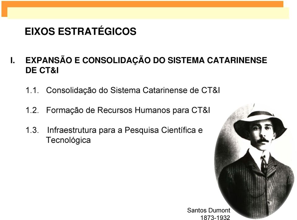 1. Consolidação do Sistema Catarinense de CT&I 1.2.
