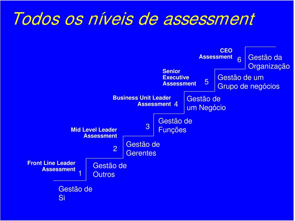 Gestão de Gerentes Senior Executive Assessment 4 Gestão de Funções CEO