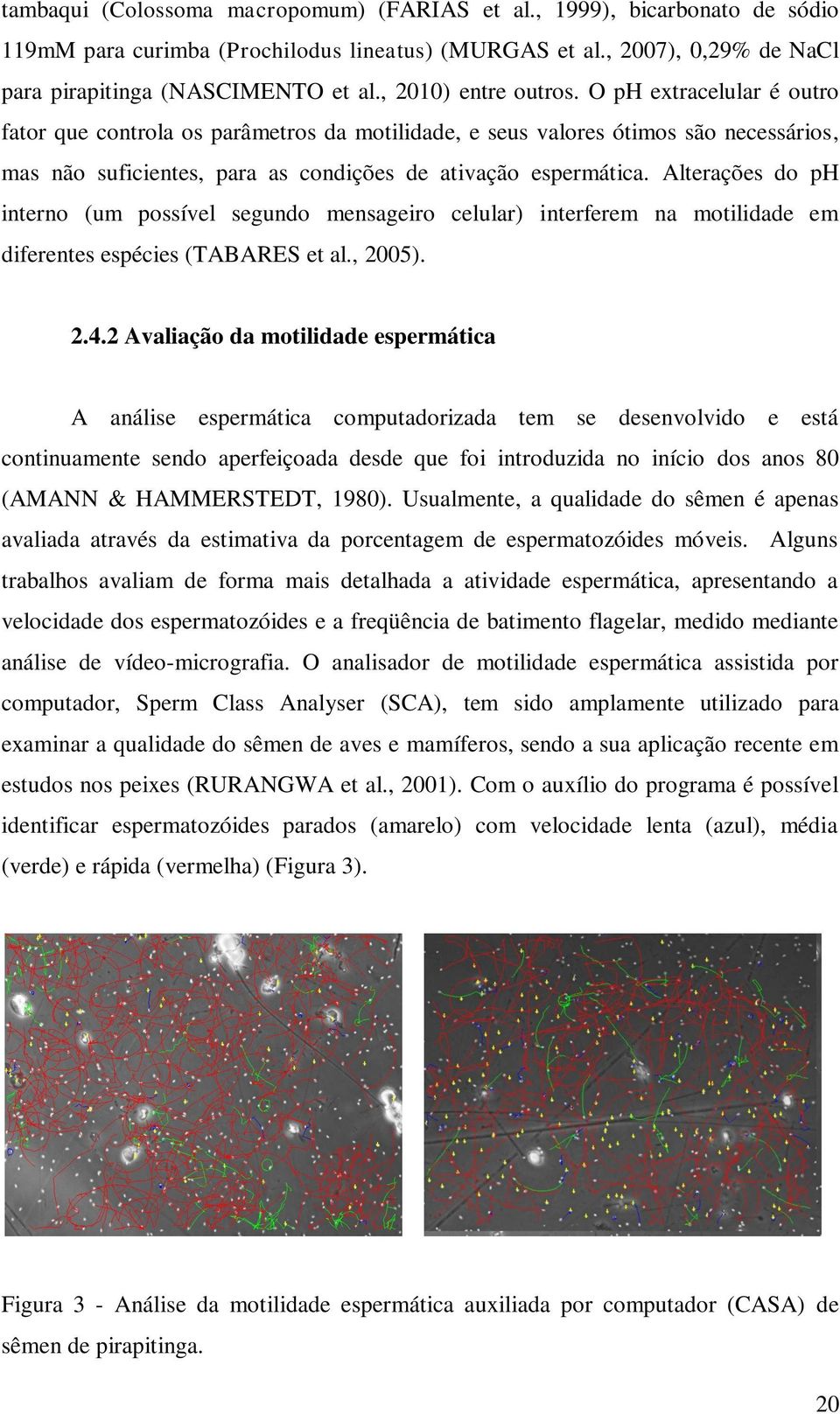 Alterações do ph interno (um possível segundo mensageiro celular) interferem na motilidade em diferentes espécies (TABARES et al., 2005). 2.4.