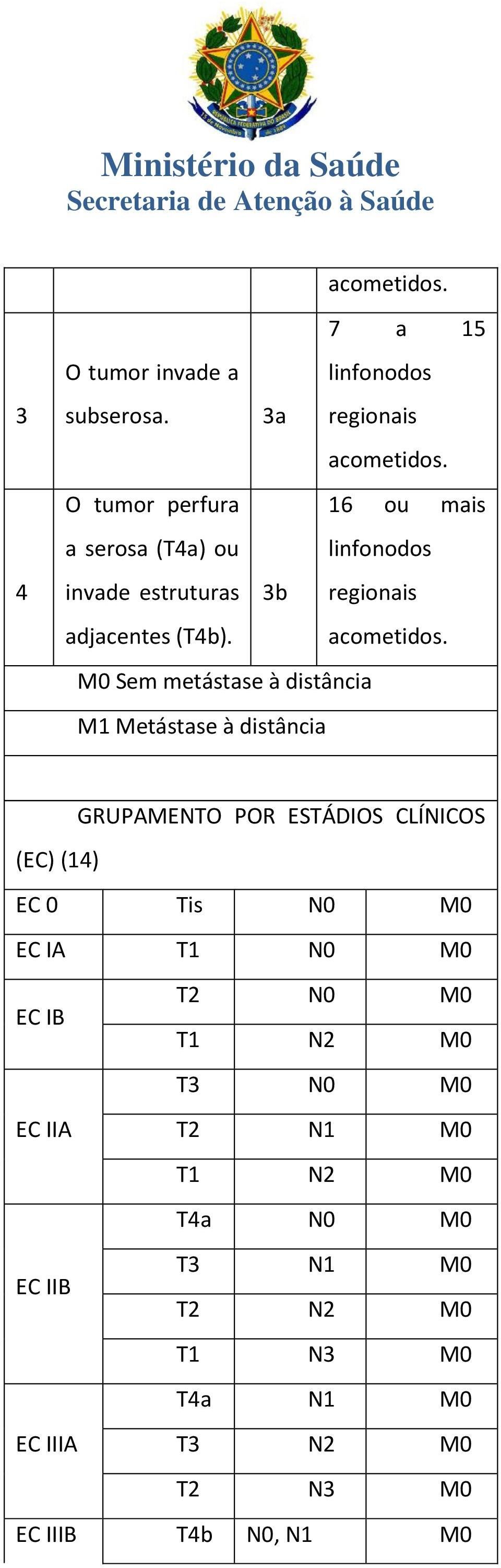 M0 Sem metástase à distância M1 Metástase à distância GRUPAMENTO POR ESTÁDIOS CLÍNICOS (EC) (14) EC 0 Tis N0 M0 EC IA T1 N0