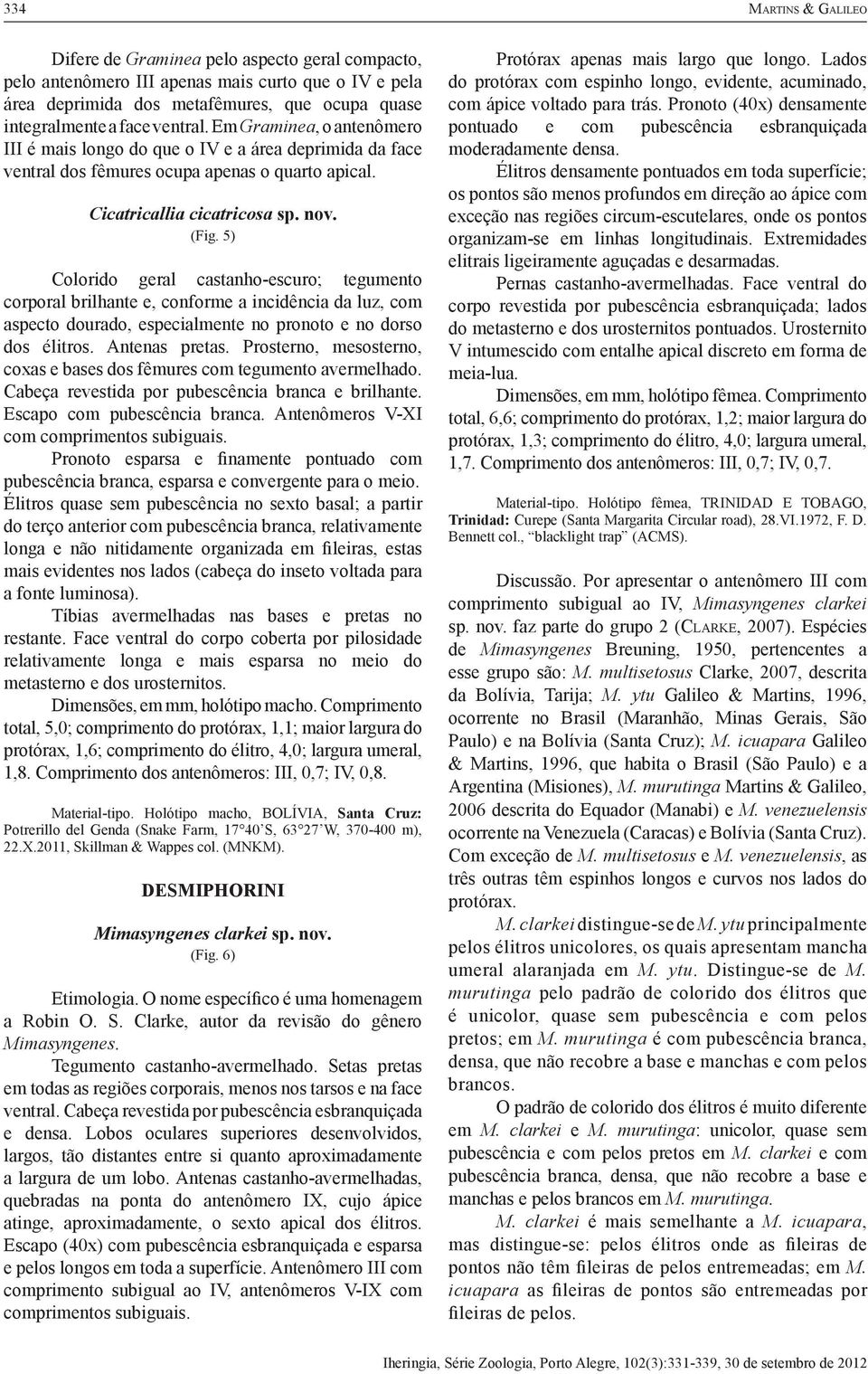 5) Colorido geral castanho-escuro; tegumento corporal brilhante e, conforme a incidência da luz, com aspecto dourado, especialmente no pronoto e no dorso dos élitros. Antenas pretas.