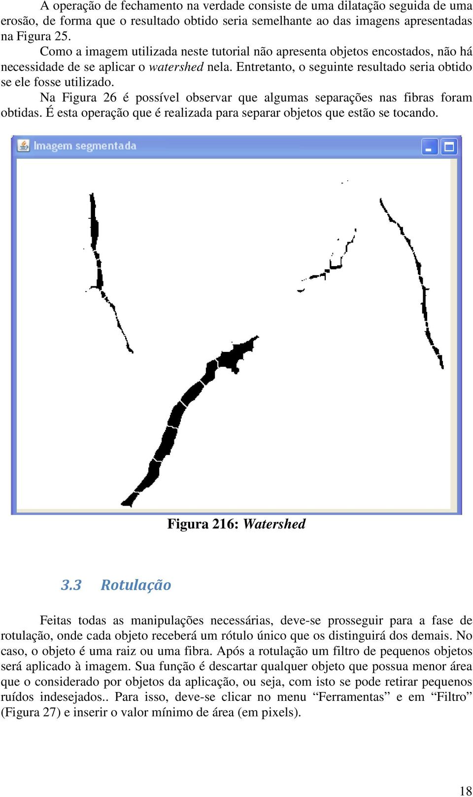 Na Figura 26 é possível observar que algumas separações nas fibras foram obtidas. É esta operação que é realizada para separar objetos que estão se tocando. Figura 216: Watershed 3.