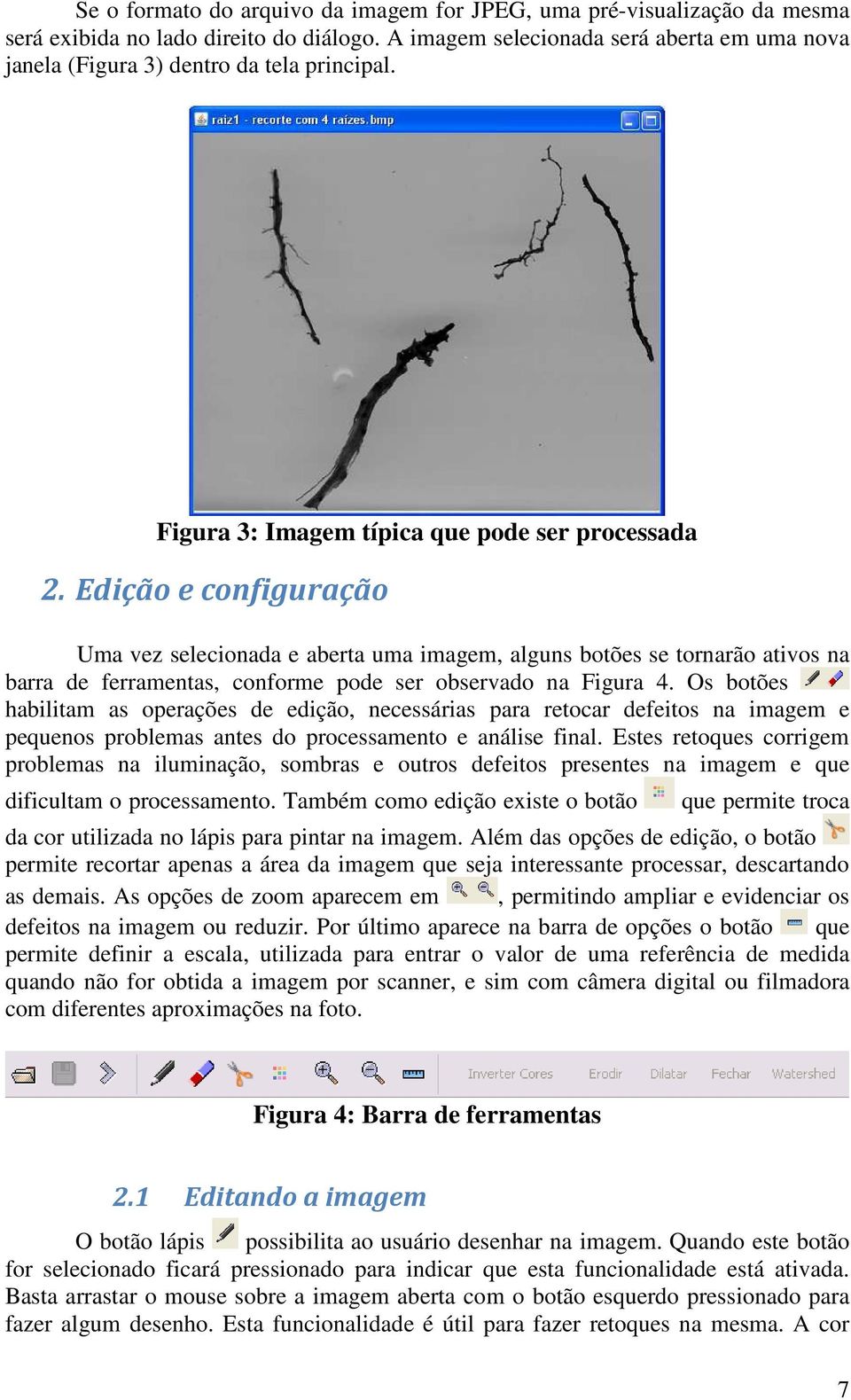 Edição e configuração Uma vez selecionada e aberta uma imagem, alguns botões se tornarão ativos na barra de ferramentas, conforme pode ser observado na Figura 4.