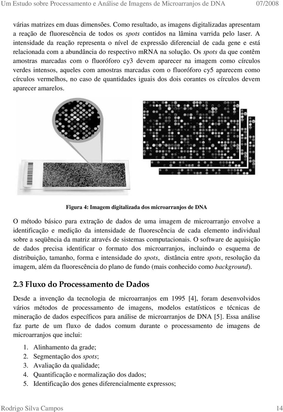 Os spots da que contêm amostras marcadas com o fluoróforo cy3 devem aparecer na imagem como círculos verdes intensos, aqueles com amostras marcadas com o fluoróforo cy5 aparecem como círculos