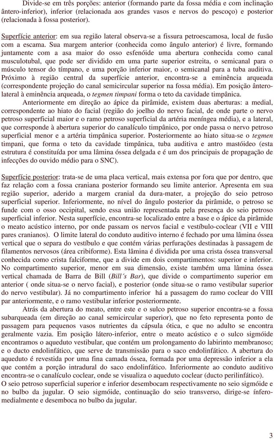 Sua margem anterior (conhecida como ângulo anterior) é livre, formando juntamente com a asa maior do osso esfenóide uma abertura conhecida como canal musculotubal, que pode ser dividido em uma parte