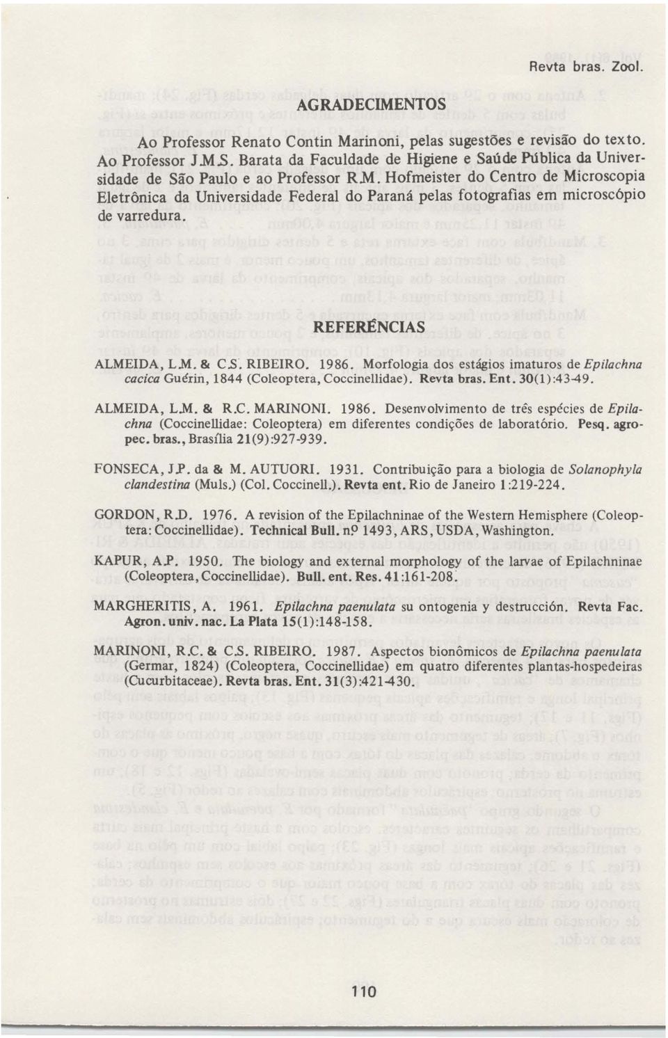 Morfologia dos estágios imaturos de Epilachna cacica Guérin, 1844 (Coleoptera, Coccinellidae). Revta bras. Ent. 30(1) :43-49. ALMEIDA, LM. & R.C. MARINONI. 1986.