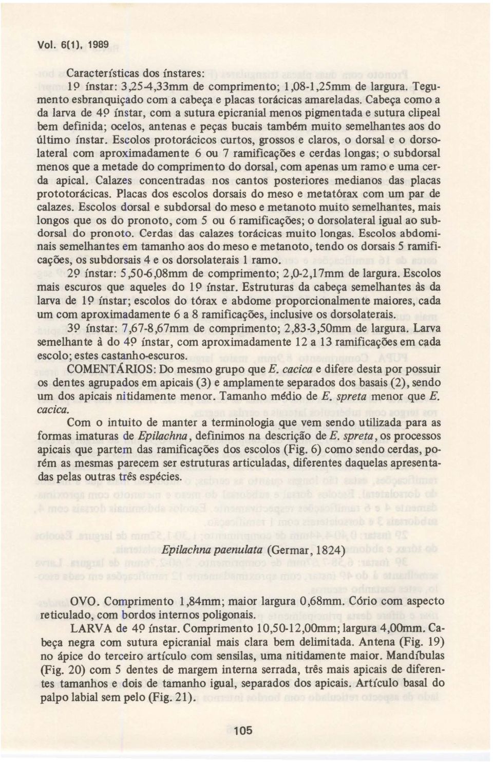 Escolos pro torácicos curtos, grossos e claros, o dorsal e o dorsolateral com aproximadamente 6 ou 7 ramiflcações e cerdas longas; o subdorsal menos que a metade do comprimento do dorsal, com apenas