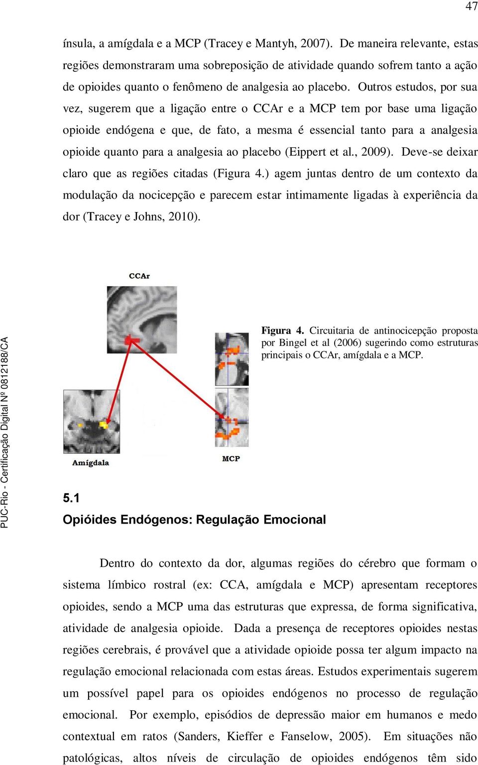 Outros estudos, por sua vez, sugerem que a ligação entre o CCAr e a MCP tem por base uma ligação opioide endógena e que, de fato, a mesma é essencial tanto para a analgesia opioide quanto para a