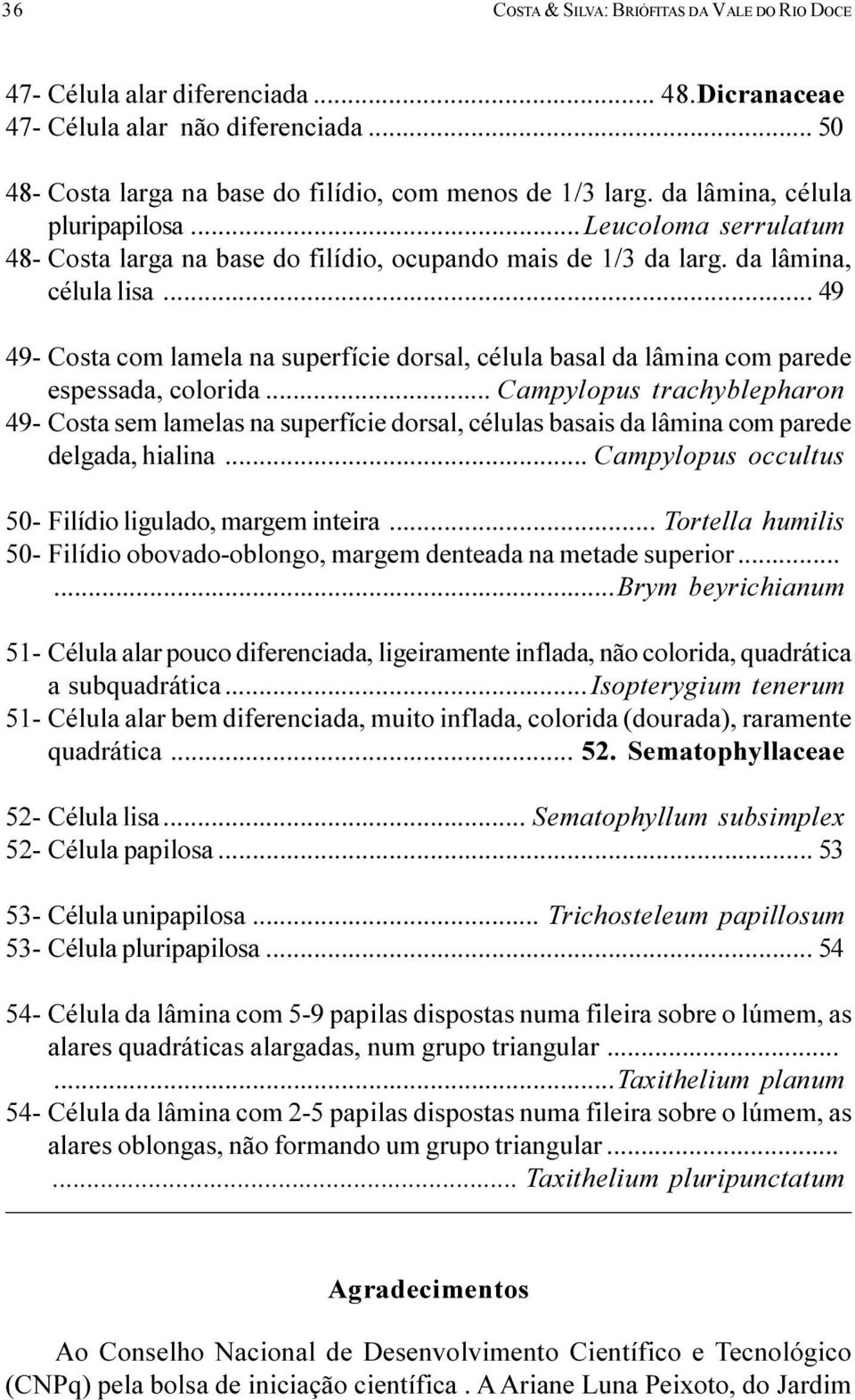 com parede espessada, colorida Campylopus trachyblepharon 49- Costa sem lamelas na superfície dorsal, células basais da lâmina com parede delgada, hialina Campylopus occultus 50- Filídio ligulado,