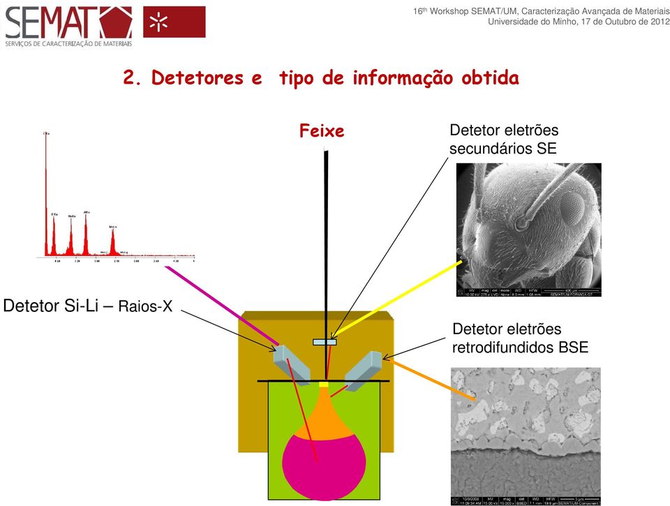 secundários SE c) Detetor Si-Li