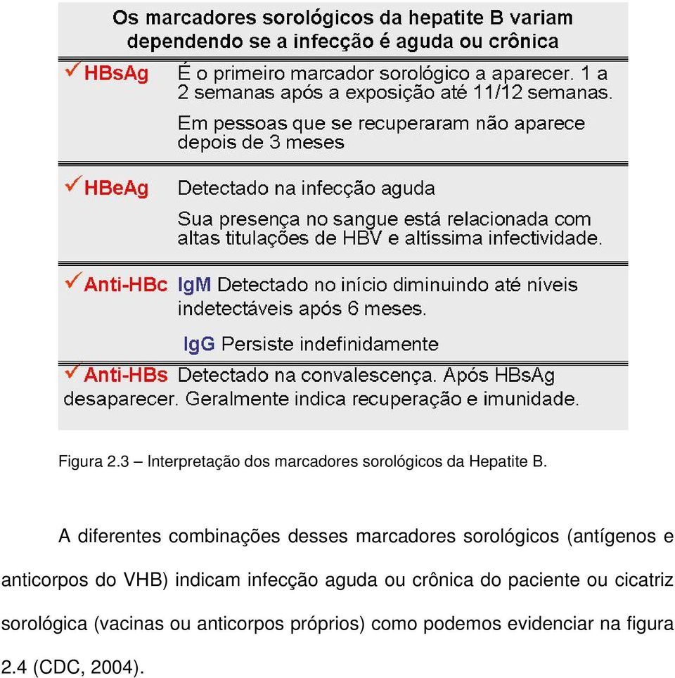 anticorpos do VHB) indicam infecção aguda ou crônica do paciente ou cicatriz