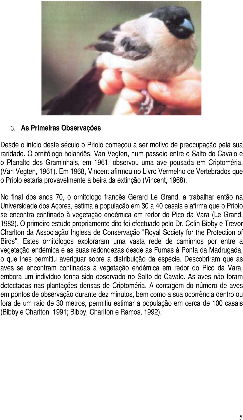 Em 1968, Vincent afirmou no Livro Vermelho de Vertebrados que o Priolo estaria provavelmente à beira da extinção (Vincent, 1968).