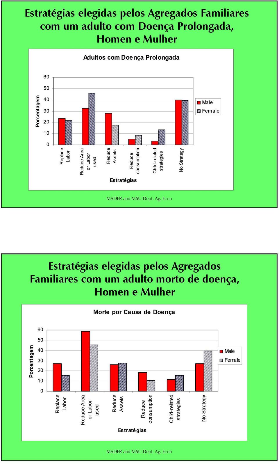 Strategy Estratégias Estratégias elegidas pelos Agregados Familiares com um adulto morto de doença, Homen e Mulher Morte por Causa de Doença 60