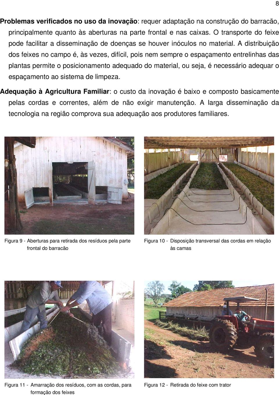 A distribuição dos feixes no campo é, às vezes, difícil, pois nem sempre o espaçamento entrelinhas das plantas permite o posicionamento adequado do material, ou seja, é necessário adequar o