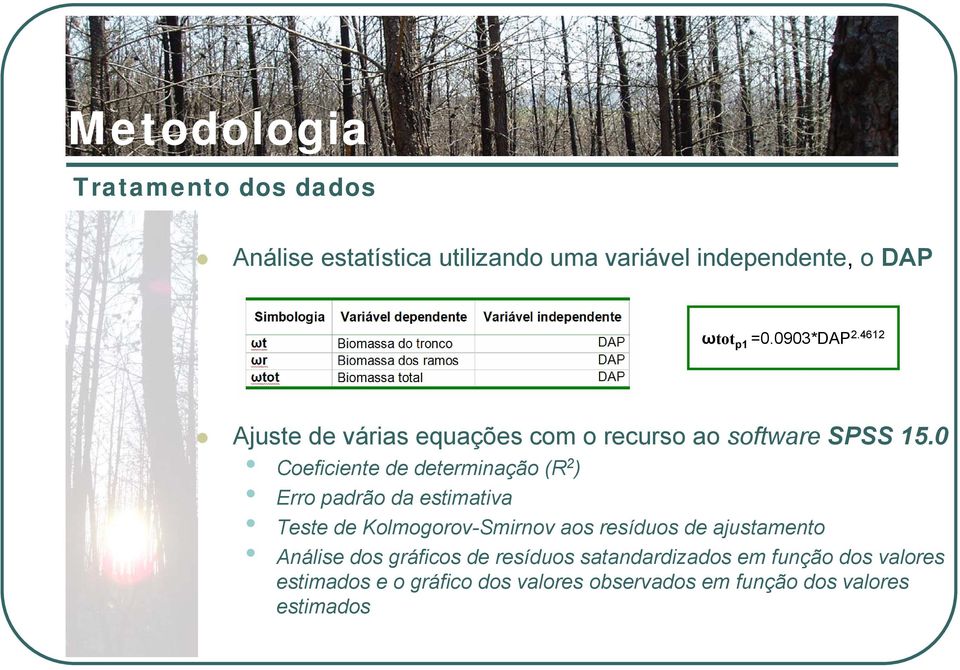 0 Coeficiente de determinação (R 2 ) Erro padrão da estimativa Teste de Kolmogorov-Smirnov aos resíduos de