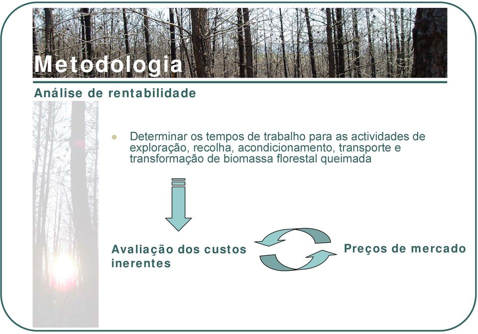 acondicionamento, transporte e transformação de biomassa