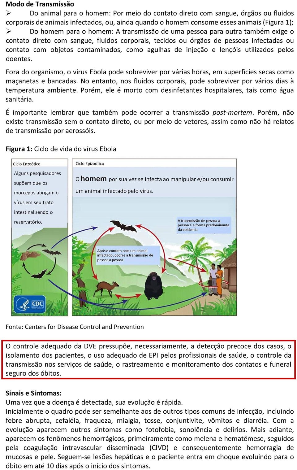 como agulhas de injeção e lençóis utilizados pelos doentes. Fora do organismo, o virus Ebola pode sobreviver por várias horas, em superfícies secas como maçanetas e bancadas.