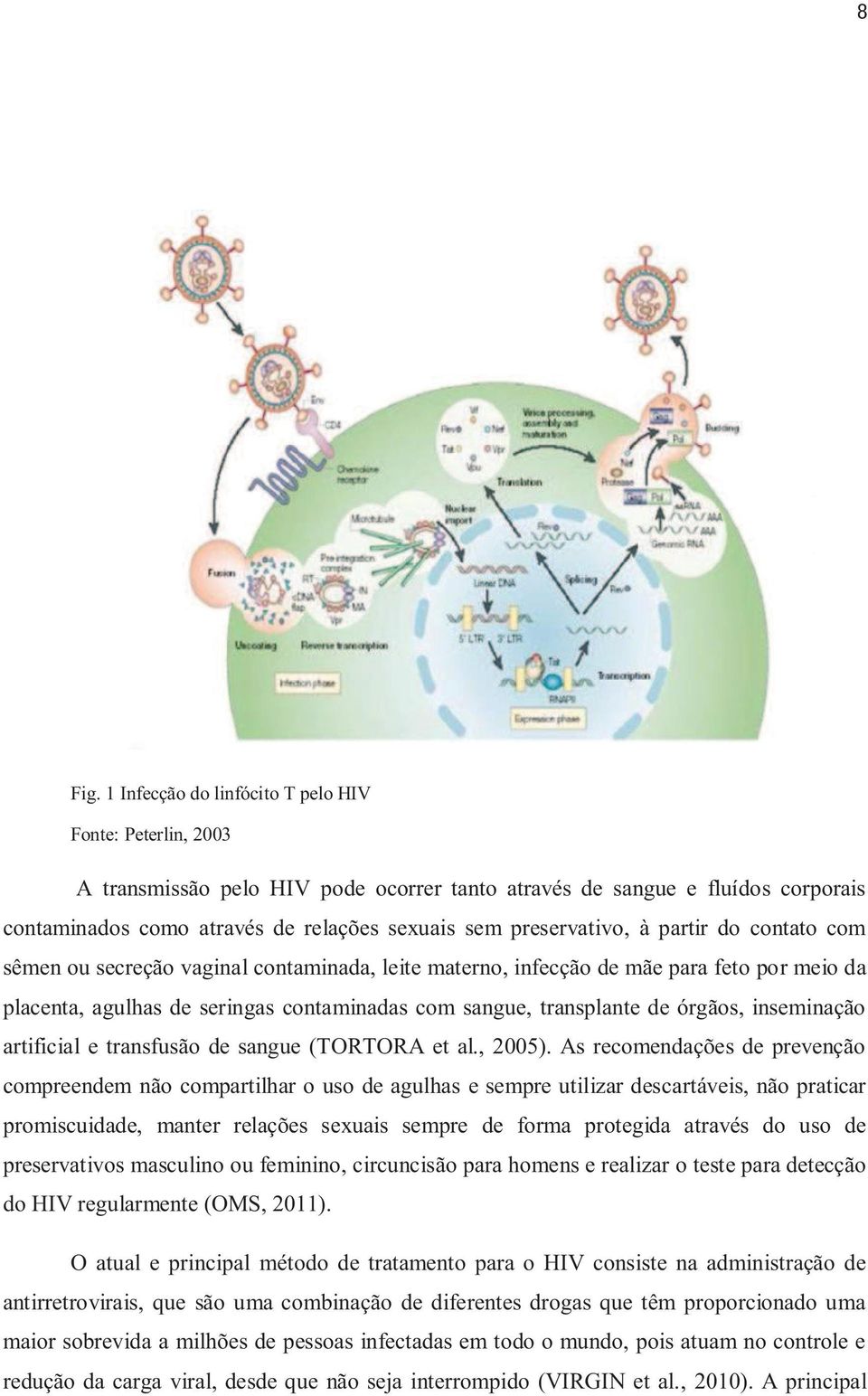 preservativo, à partir do contato com sêmen ou secreção vaginal contaminada, leite materno, infecção de mãe para feto por meio da placenta, agulhas de seringas contaminadas com sangue, transplante de