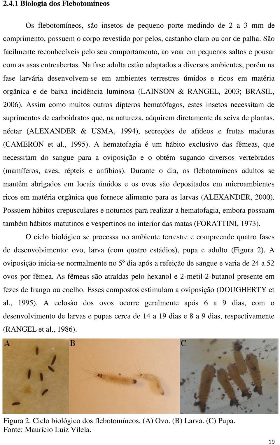 Na fase adulta estão adaptados a diversos ambientes, porém na fase larvária desenvolvem-se em ambientes terrestres úmidos e ricos em matéria orgânica e de baixa incidência luminosa (LAINSON & RANGEL,