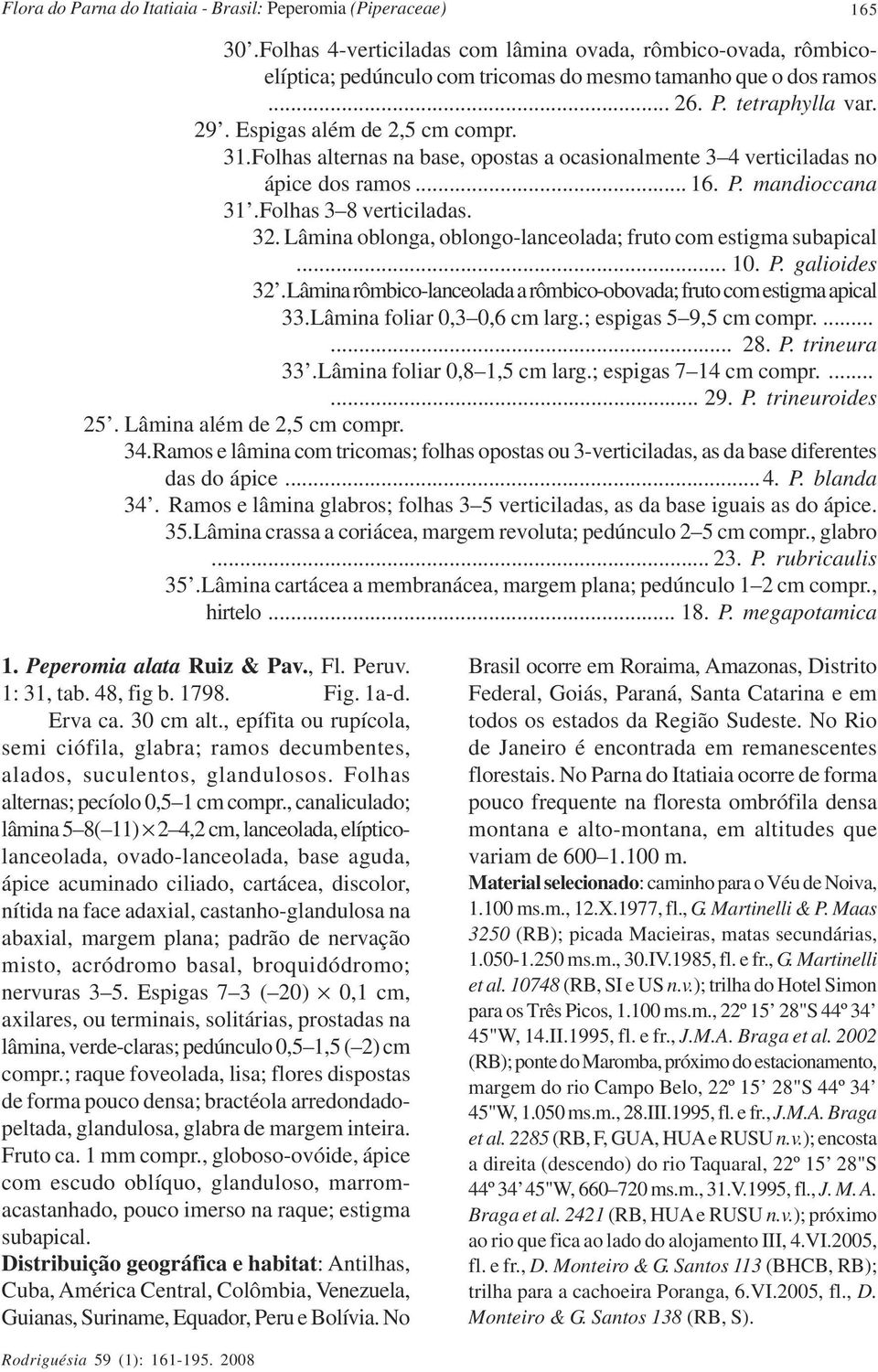 Lâmina oblonga, oblongo-lanceolada; fruto com estigma subapical... 10. P. galioides 32.Lâmina rômbico-lanceolada a rômbico-obovada; fruto com estigma apical 33.Lâmina foliar 0,3 0,6 cm larg.