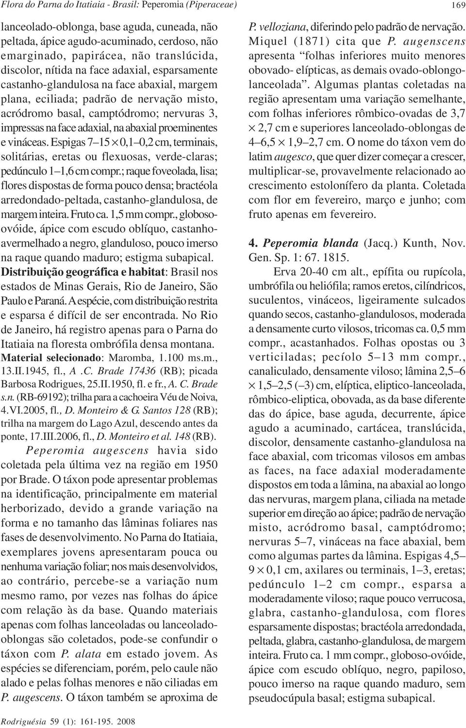 abaxial proeminentes e vináceas. Espigas 7 15 0,1 0,2 cm, terminais, solitárias, eretas ou flexuosas, verde-claras; pedúnculo 1 1,6 cm compr.