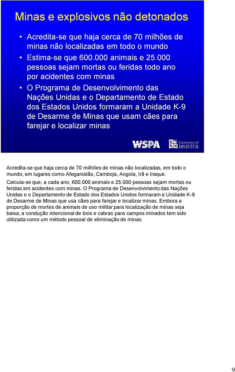 O Programa de Desenvolvimento das Nações Unidas e o Departamento de Estado dos Estados Unidos formaram a Unidade K-9 de Desarme de Minas que usa cães para farejar