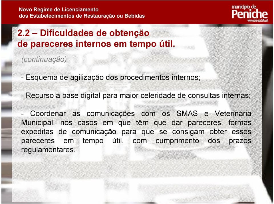 celeridade de consultas internas; - Coordenar as comunicações com os SMAS e Veterinária Municipal, nos casos