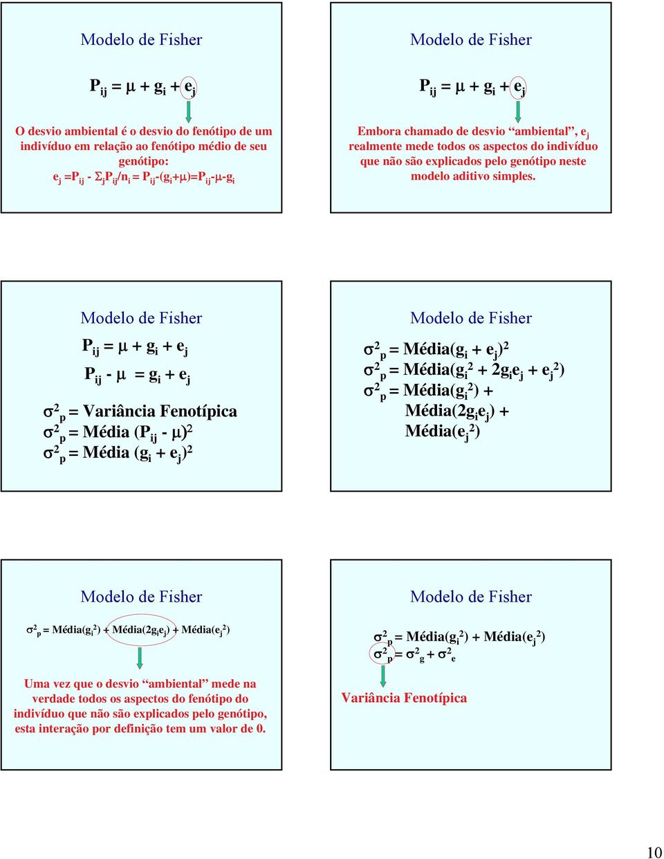 P ij = μ + g i + e j σ 2 p = Média(g i + e j ) 2 P ij - μ =g i + e j σ 2 p = Variância Fenotípica σ 2 p = Média (P ij - μ) 2 σ 2 p = Média (g i + e j ) 2 σ 2 p = Média(g i2 + 2g i e j + e j2 ) σ 2 p