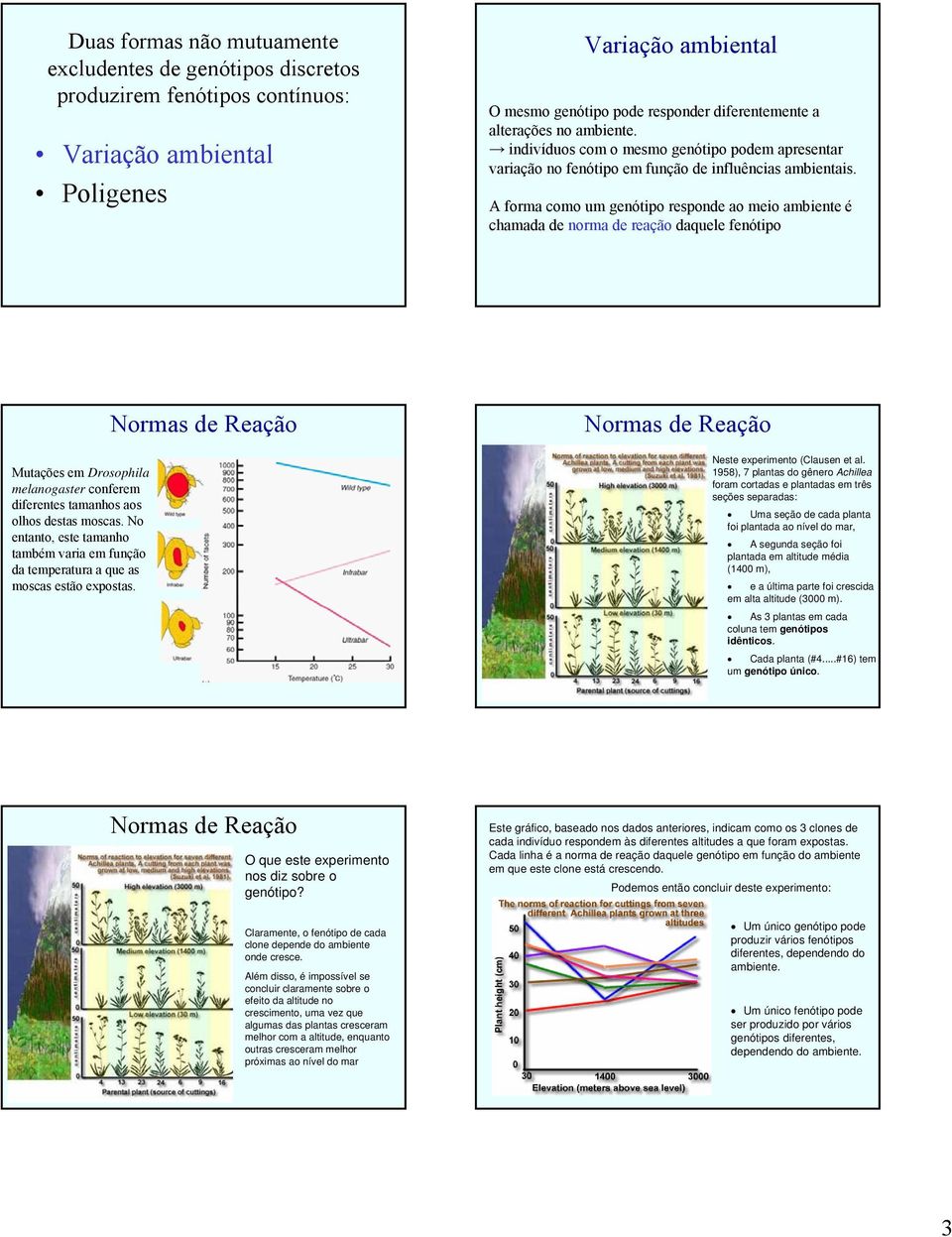 A forma como um genótipo responde ao meio ambiente é chamada de norma de reação daquele fenótipo Mutações em Drosophila melanogaster conferem diferentes tamanhos aos olhos destas moscas.